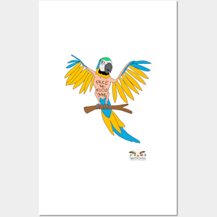 HWS SASSY COLLECTION!  BLUE & GOLD MACAW Posters and Art